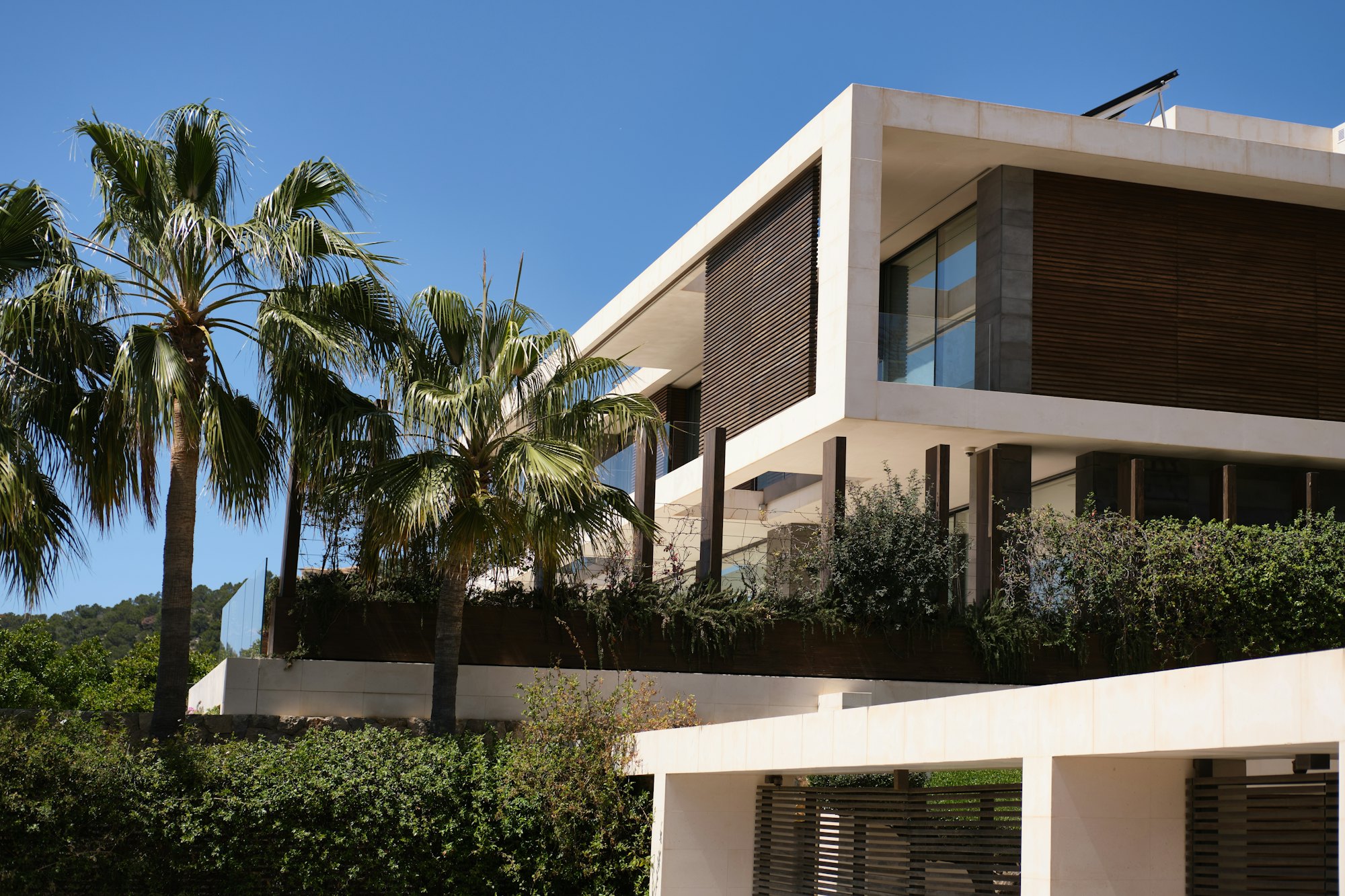White modernist house with mature palms in the garden