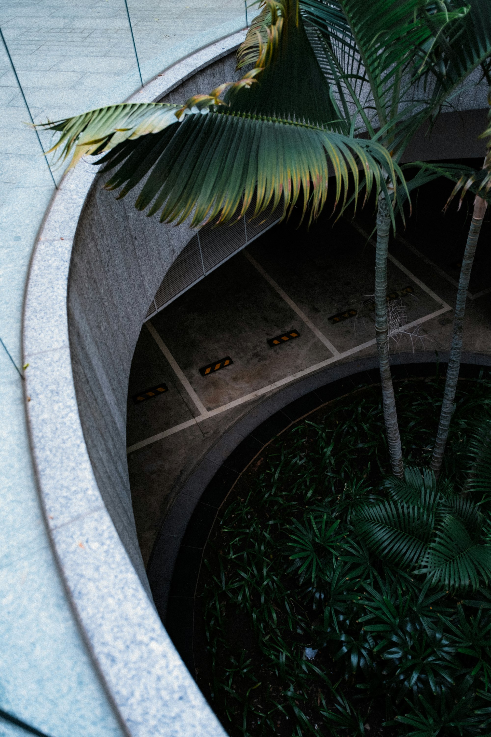 Planted courtyard at the centre of the plan