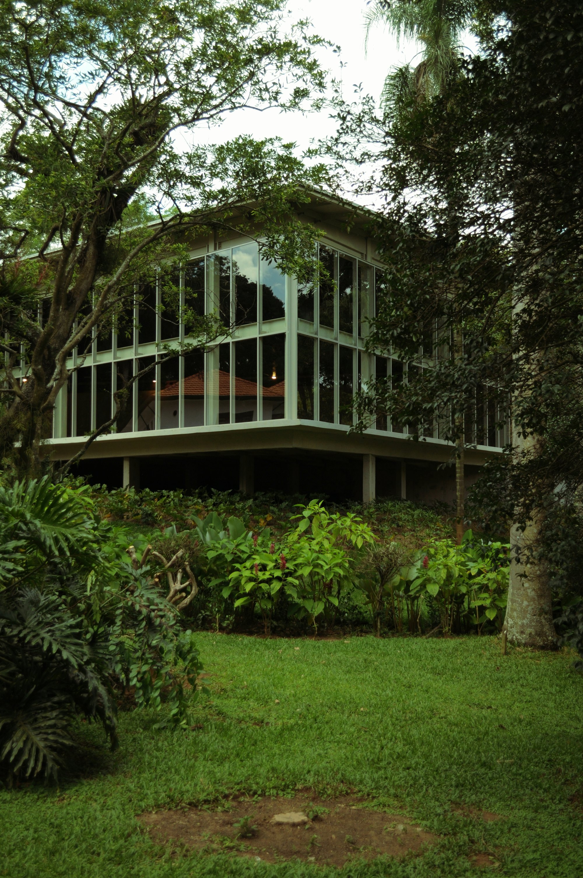 Glass and timber residence standing among tall forest trees