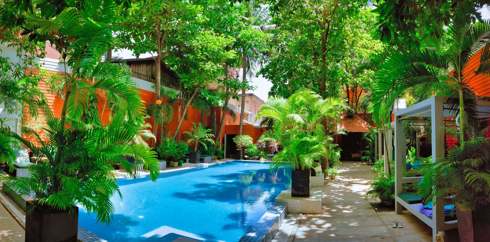 Pool set at the lowest level, half shaded by the surrounding forest