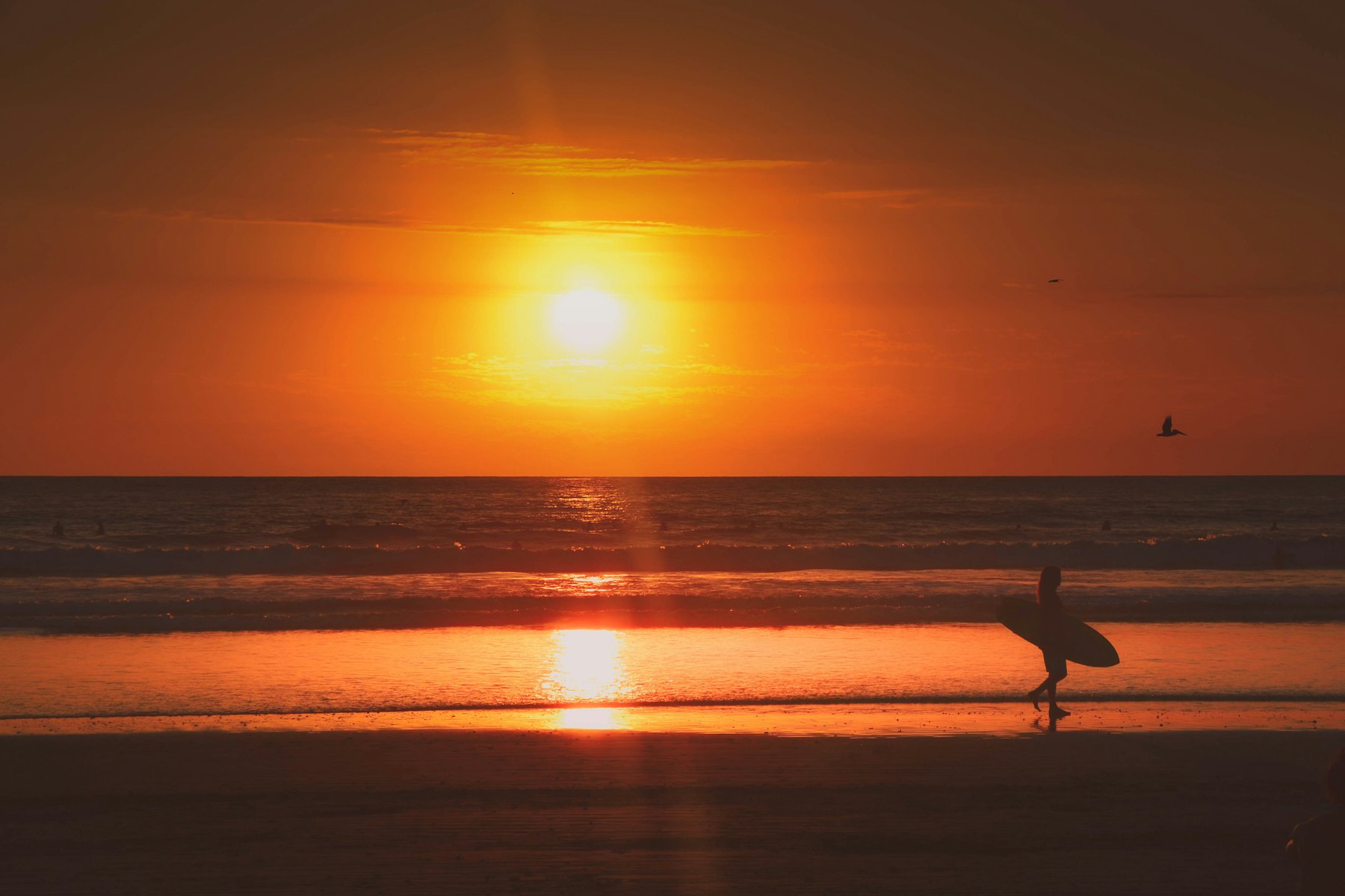 Surfer walking the shoreline at Nosara at sunset