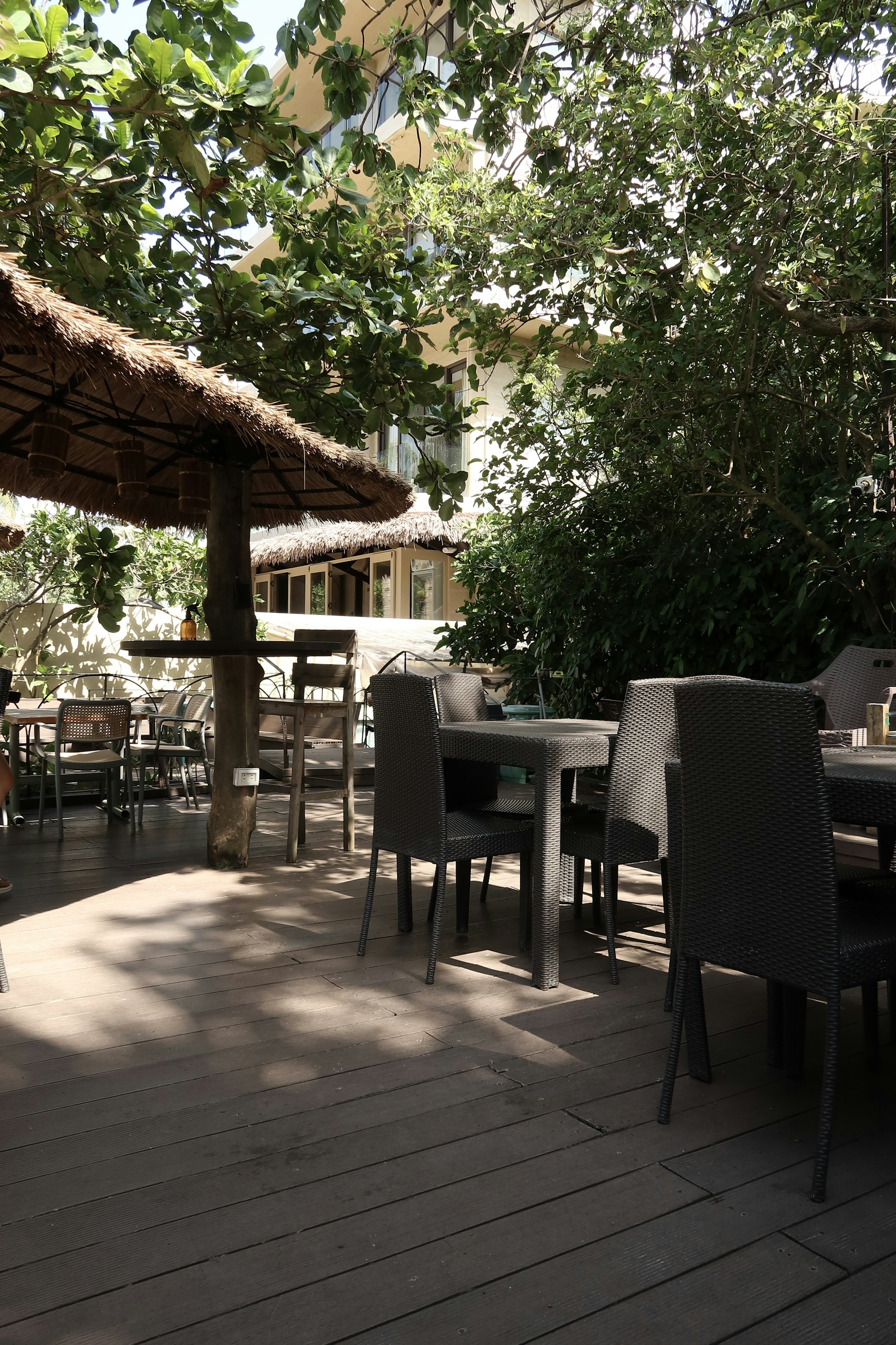 Shaded outdoor dining area under mature trees